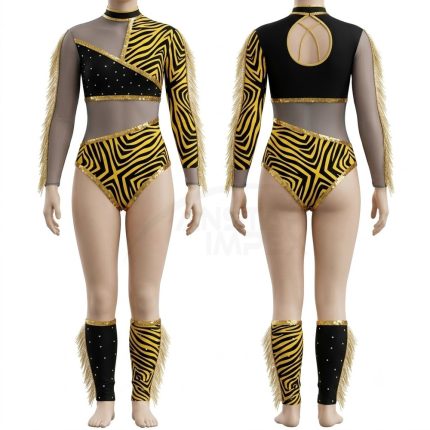 Custom Dance Leotard (ANS-LT-009) - Anstar Impex