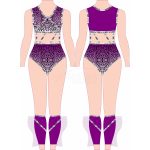 Custom Dance Leotard (ANS-LT-011) - Anstar Impex